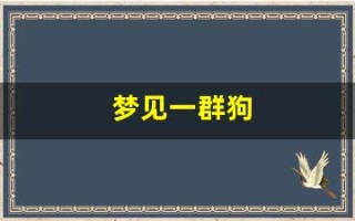 梦见一群狗(梦见一群狗追咬我什么预兆)
