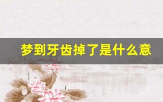 梦到牙齿掉了是什么意思(梦到牙齿掉了是什么征兆 女性)