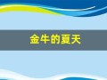 金牛的夏天(牵牛的夏天演员介绍)