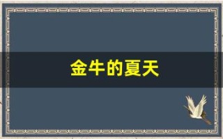金牛的夏天(金牛的夏天电视剧)