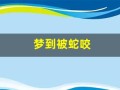 梦到被蛇咬(梦到被蛇咬了然后把蛇杀了)
