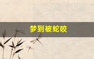 梦到被蛇咬(梦到被蛇咬了然后把蛇杀了)
