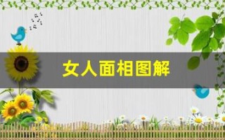 女人面相图解(女人面相图解大全)