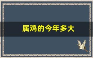 属鸡的今年多大(属羊的今年多大)