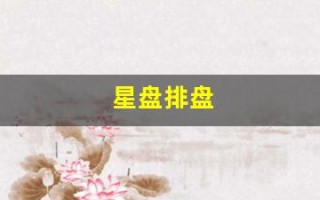 星盘排盘(星盘排盘查询)