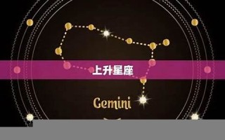 星座网(四季星座网)