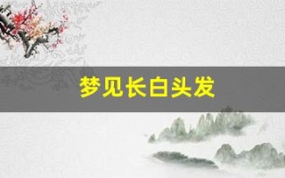 梦见长白头发(梦见长白头发是什么意思女人)