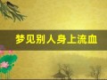 梦见别人身上流血(梦见别人身上流了好多血)