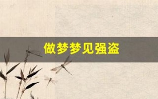 做梦梦见强盗(做梦梦见强盗在路上打劫)