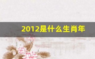 2012是什么生肖年(2012是什么生肖年年)