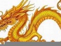 龙年运势(龙年运势2025年运程)
