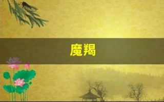 魔羯(摩羯女性格)