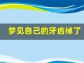梦见自己的牙齿掉了(梦见自己的牙齿掉了好多颗好不好)