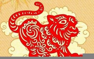 属虎2022年的运势(属虎2022年运势详解全年运程完整版)
