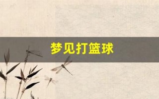 梦见打篮球(梦见打篮球投篮投中了)