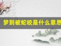 梦到被蛇咬是什么意思(梦到被蛇咬是什么意思周公解梦)