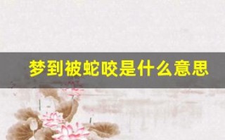 梦到被蛇咬是什么意思(梦到被蛇咬是什么意思周公解梦)