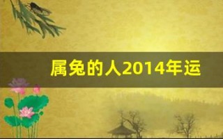 属兔的人2014年运程(2014年属兔命运)