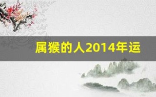 属猴的人2014年运程(属猴人2024年运势及运程每月运程)