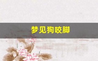 梦见狗咬脚(梦见狗咬脚后跟)