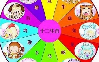 2012什么生肖(2012什么生肖年)