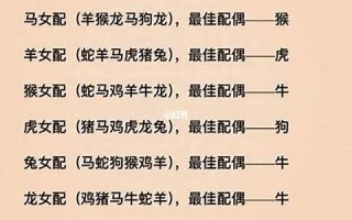 生肖配对测试(生肖配对测试打分)