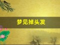 梦见掉头发(梦见掉头发掉了一大把预示着什么)