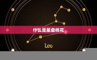个人星盘查询(个人星盘查询星座屋)