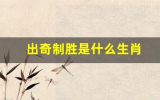出奇制胜是什么生肖(出奇制胜是什么生肖鼠)