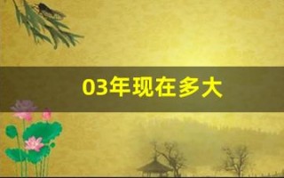 03年现在多大(2003年现在多大)