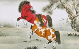 属马人2014年运势(属马人2014年运势运程)