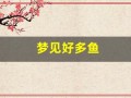 梦见好多鱼(梦见好多鱼在水里游)