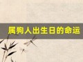 属狗人出生日的命运(属狗人出生日命运时辰)