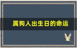 属狗人出生日的命运(属狗人出生日命运时辰)