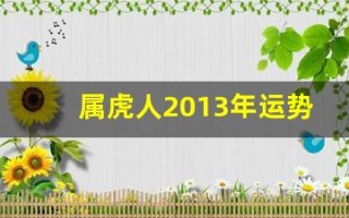 属虎人2013年运势(2013年属虎年龄)