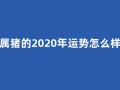 属猪的2020年运势怎么样(属猪的2020年的运气)