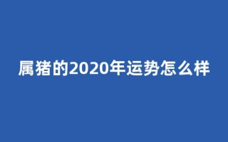 属猪的2020年运势怎么样(属猪的2020年的运气)