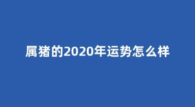 属猪的2020年运势怎么样(属猪的2020年的运气)