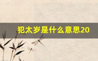 犯太岁是什么意思2024年犯太岁属相(犯太岁是什么意思2024年犯太岁属相龙)