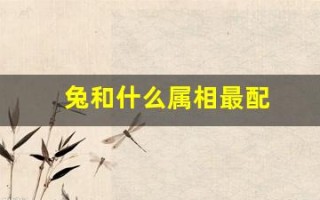 兔和什么属相最配(虎和什么属相最配)