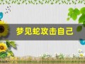 梦见蛇攻击自己(梦见蛇冲自己扑过来)