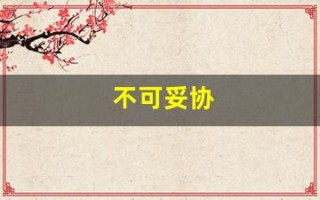不可妥协(不可妥协的责任)