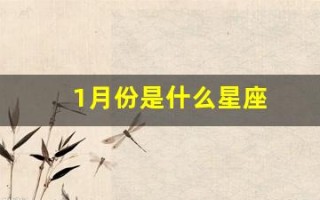 1月份是什么星座(农历1月份是什么星座)