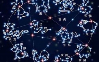 十二星座之长相(十二星座星盘查询表)