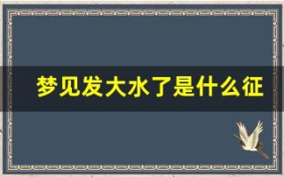 梦见发大水了是什么征兆(女人梦见发大水了是什么征兆)