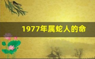 1977年属蛇人的命运(1977年属蛇人的命运查询)