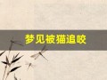 梦见被猫追咬(梦见被猫追咬是什么意思)