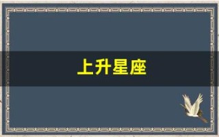 上升星座(上升星座代表一个人的什么)