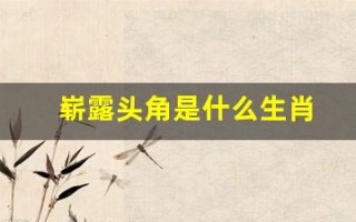 崭露头角是什么生肖(讲解词语解释落实鼠)