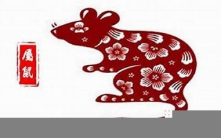 12生肖鼠年运程(十二生肖鼠年运势2020运势详解)